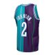 Men's Charlotte Hornets Larry Johnson Mitchell & Ness Teal/Purple Hardwood Classics 1992/93 Split Swingman Jersey