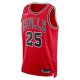 Unisex Chicago Bulls Dalen Terry Nike Red 2022 NBA Draft First Round Pick Swingman Jersey - Icon Edition