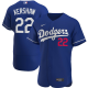 Men's Nike Los Angeles Dodgers #22 Clayton Kershaw Royal Alternate 2020 Player MLB Jersey