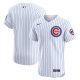 Men's Chicago Cubs Nike White Home Elite Jersey