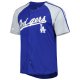 Men's Los Angeles Dodgers Stitches Royal Button-Down Raglan Fashion Jersey