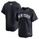 Men's New York Yankees  Nike Navy  Alternate Limited Jersey